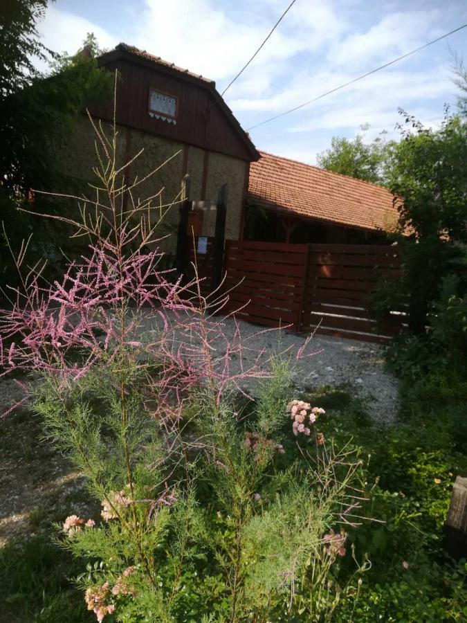 Ruralna Kuca Za Odmor Pozojova Hiza - Rural Holiday House Lopatinec Exterior foto