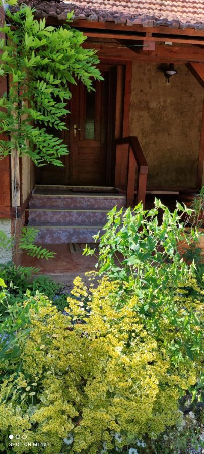 Ruralna Kuca Za Odmor Pozojova Hiza - Rural Holiday House Lopatinec Exterior foto