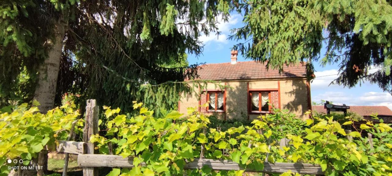 Ruralna Kuca Za Odmor Pozojova Hiza - Rural Holiday House Lopatinec Exterior foto